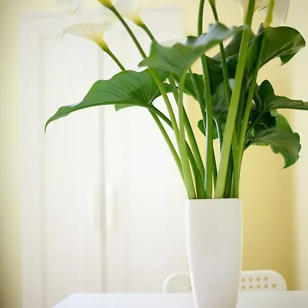 Sunshine Bed & Breakfast 3*